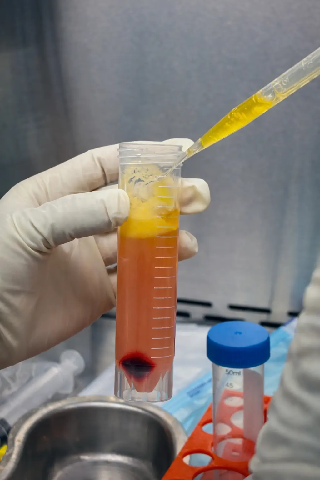 Procesamiento de muestras en laboratorio